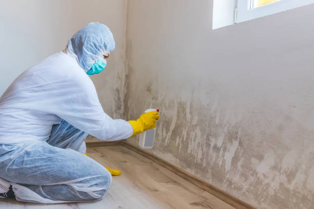Mold Remediation specialist working in Tracys Landing